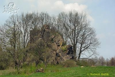 Zamek Podskale w Rząsinach