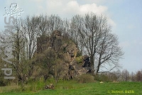 Zamek Podskale w Rząsinach