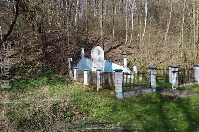 Cmentarz żydowski w Działoszycach