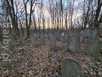 Cmentarz żydowski w Głogówku