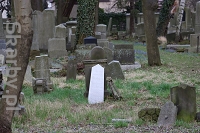 Cmentarz żydowski w Tarnowskich Górach