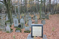 Cmentarz żydowski w Jaworznie