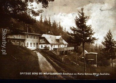 Międzygórze na starej pocztówce