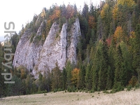 Rezerwat przyrody Biała Woda