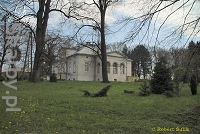 Pałac w Grabiszycach Górnych