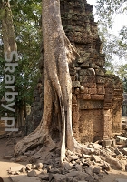 Angkor w Kambodży