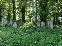 Cmentarz żydowski w Cieszynie Stary