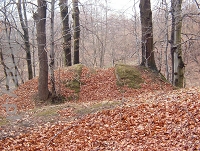 Gród rycerski w Krzykawce