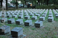 Cmentarz wojenny żołnierzy Armii Czerwonej
