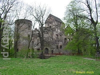 Zamek Świny