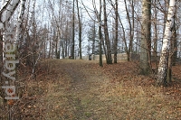 Cmentarz I-wojenny w Kroczycach