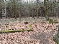 Cmentarz żydowski w Ujeździe